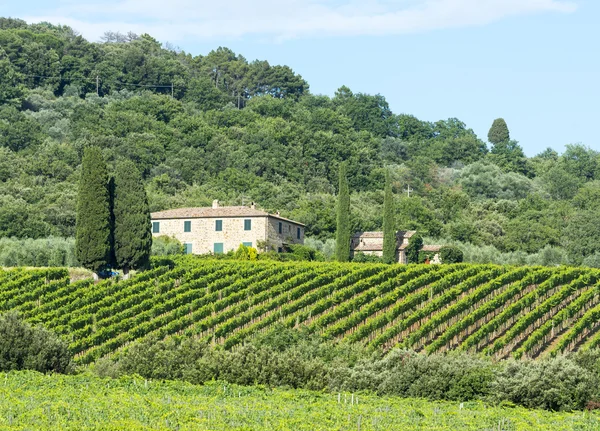 Montalcino (Toskánsko, Itálie) — Stock fotografie