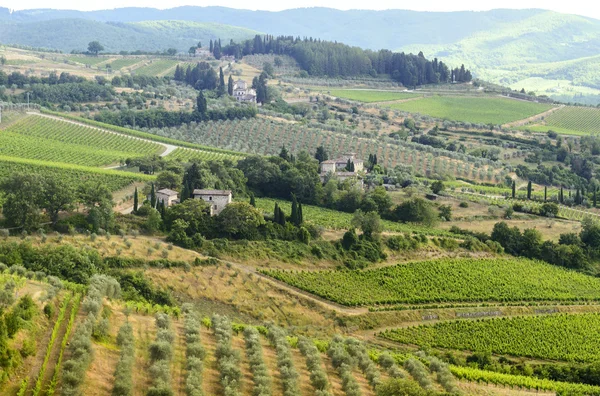 Chianti, Τοσκάνη — Φωτογραφία Αρχείου