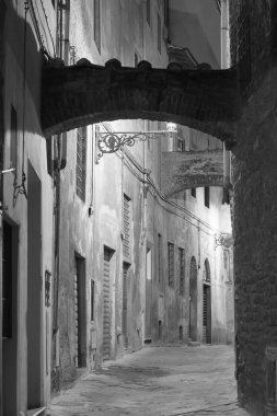 緑スポーツ ピックアップ トラックのイラスト)