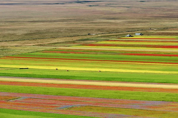 Piano grande di castelluccio (italien) — Stockfoto