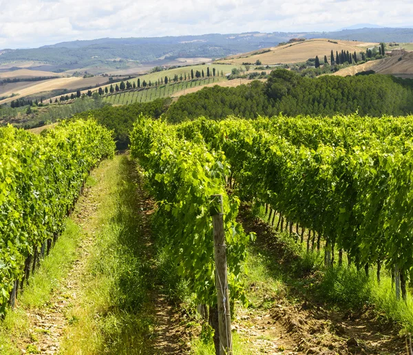 Crete senesi (Toscane, Italië) — Stockfoto