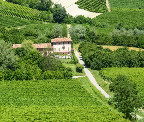 Paisagem de verão em Langhe (Itália ) — Fotografia de Stock