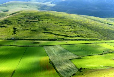 Piano Grande di Castelluccio (Italy) clipart