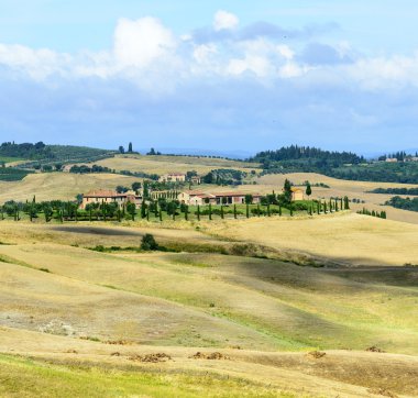 Girit senesi (Toskana, İtalya)