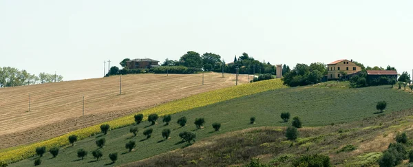 Zomer landschap in Marches (Italië) — Stockfoto