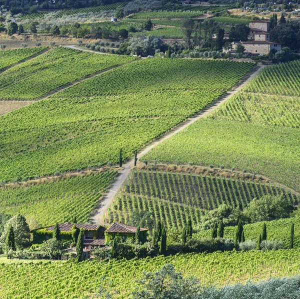 Chianti, Toscana — Fotografia de Stock