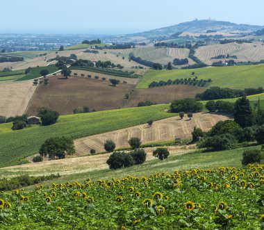 Yürüyüşleri (İtalya yaz peyzaj)