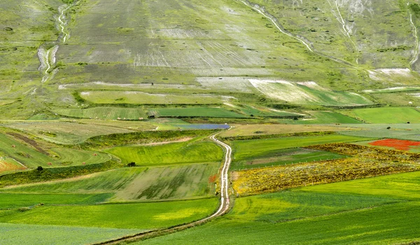 Piyano Grande di Castelluccio (İtalya) — Stok fotoğraf