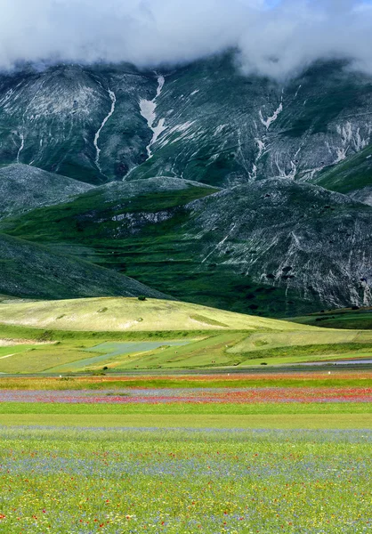 Piano Grande di Castelluccio (Italië) — Stockfoto