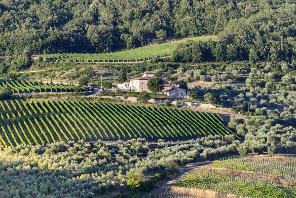 Chianti, Toscana — Stockfoto