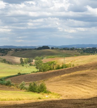 Girit senesi (Toskana, İtalya)