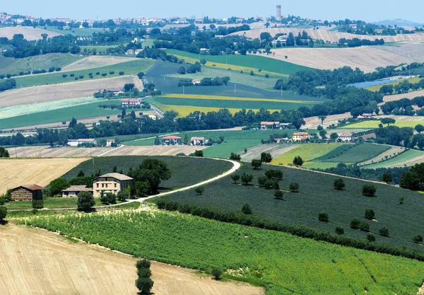 Sommaren landskapet i Marche (Italien) — Stockfoto