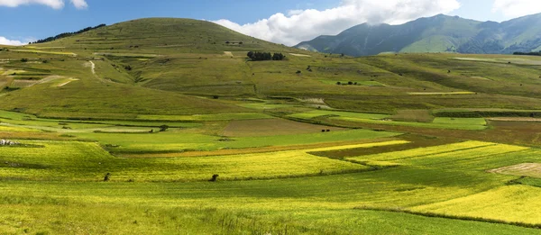 Piano Grande di Castelluccio (Италия) ) — стоковое фото