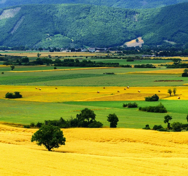 Forca Canapine (Umbria) — Stok fotoğraf