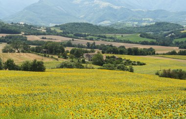 Yürüyüşleri (İtalya): yaz manzara
