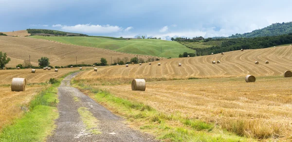 Montalcino (Toskánsko, Itálie) — Stock fotografie