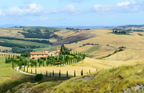 Girit senesi (Toskana, İtalya)