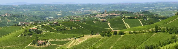 Sommar landskap i langhe (Italien) — Stockfoto