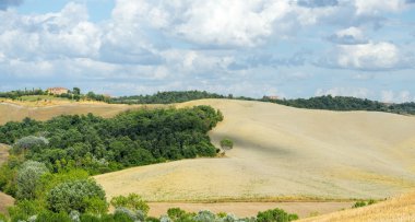 Girit senesi (Toskana, İtalya)