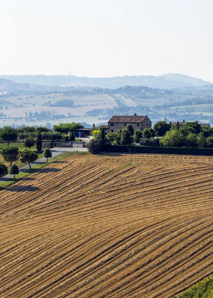 Paisaje de verano en Marcas (Italia) ) — Foto de Stock