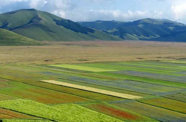 Piano Grande di Castelluccio (Италия) ) — стоковое фото