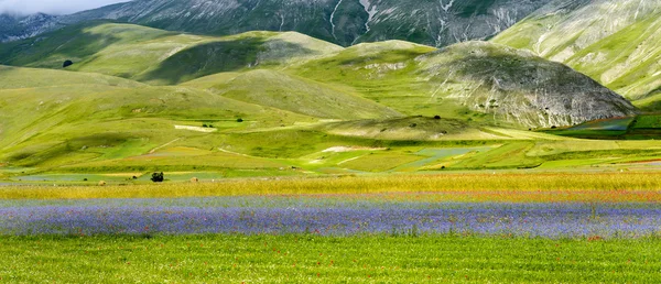 Piano Grande di Castelluccio (Italy) — Stock Photo, Image