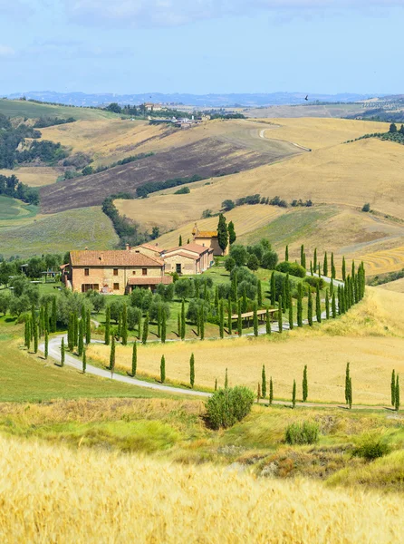 Crete Senesi (Tuscany, Italy) — Stock Photo, Image