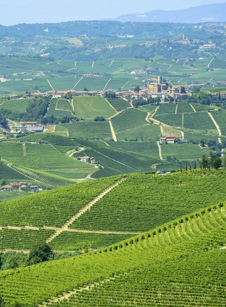 Letní krajina v langhe (Itálie) — Stock fotografie