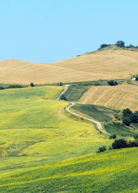 Yürüyüşleri (İtalya yaz peyzaj)