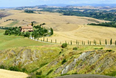 Girit senesi (Toskana, İtalya)