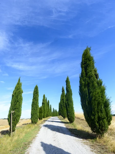 Crete Senesi (Toscana, Italia) ) — Foto de Stock