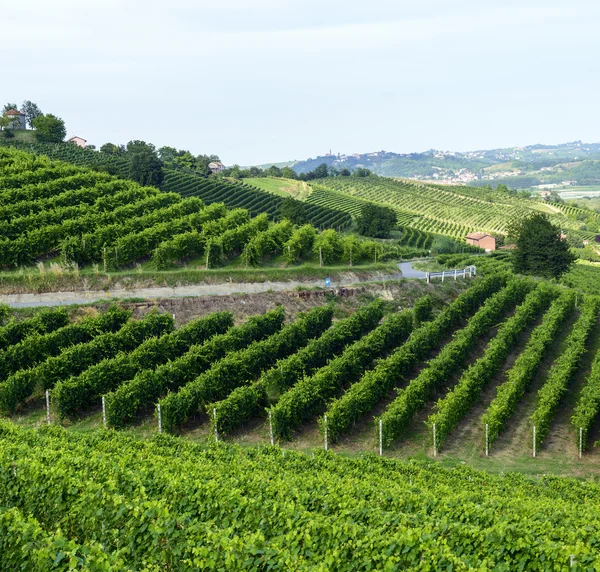 Krajobraz lato w monferrato (Włochy) — Zdjęcie stockowe