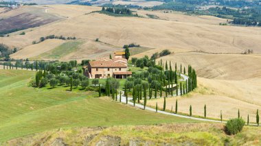 Girit senesi (Toskana, İtalya)
