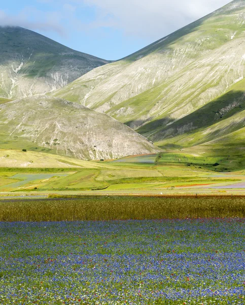 Πιάνο Castelluccio di Grande (Ιταλία) — Φωτογραφία Αρχείου