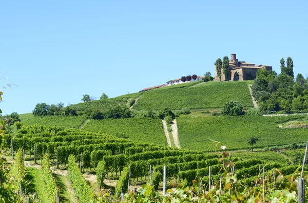 Sommar landskap i langhe (Italien) — Stockfoto