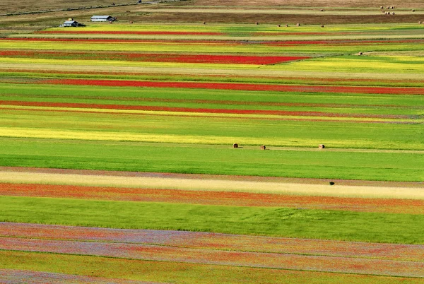 Piyano Grande di Castelluccio (İtalya) — Stok fotoğraf