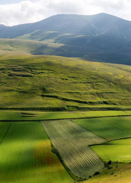 Piano Grande di Castelluccio (Италия) ) — стоковое фото