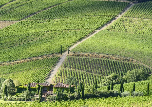 Chianti, Toscana — Fotografia de Stock