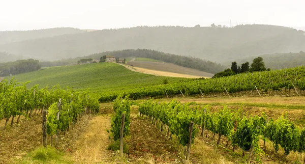 Chianti, Toskana — Stockfoto