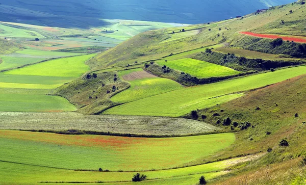 Piano Grande di Castelluccio (Italien) — Stockfoto