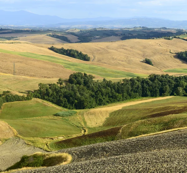 Kreta Senesi (Toscana, Italia) ) – stockfoto