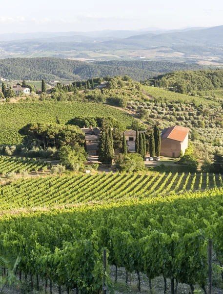 Chianti, Toscana —  Fotos de Stock