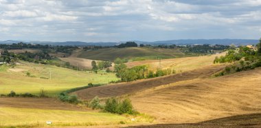 Girit senesi (Toskana, İtalya)