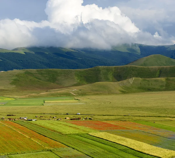 Piano Grande di Castelluccio (Italia) ) — Foto de Stock