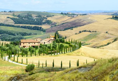 Girit senesi (Toskana, İtalya)