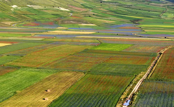 Piano Grande di Castelluccio (Italy) — Stock Photo, Image