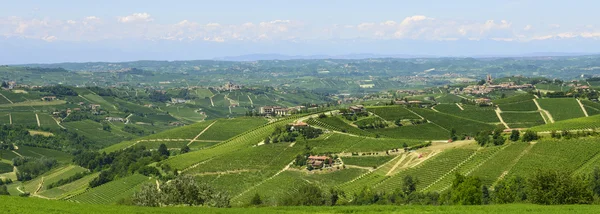 Paisagem de verão em Langhe (Itália ) — Fotografia de Stock