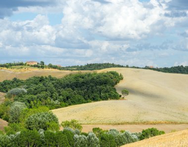 Girit senesi (Toskana, İtalya)