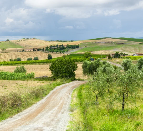 Montalcino (Toskana, İtalya) — Stok fotoğraf