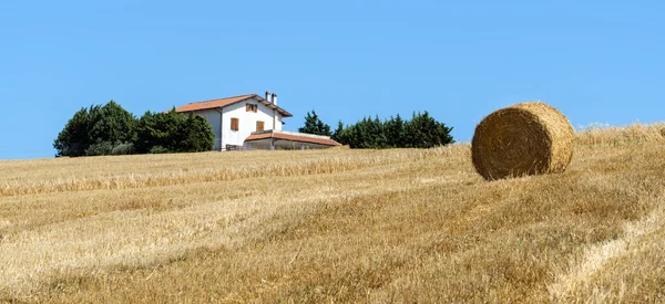 Zomer landschap in Marches (Italië) — Stockfoto